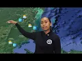 Wildcat Weather Forecast Aug 17 2026