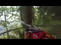 Download Lagu Flying Tree Meme