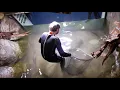 tigerfish attack