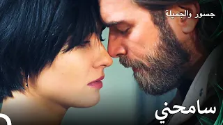 انتهى الشجار الكبير بشكل جميل جسور والجميلة 