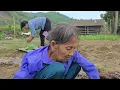 Bao immediately sought out Sinh and declared that he would not return the money.