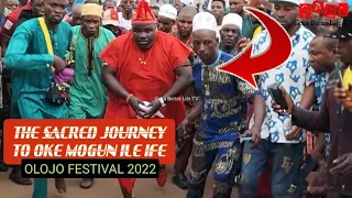 olojo festival 2022 in ile ifes sacred journey to oke moguns shrine to sacrifice to orisha ogun