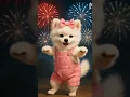 Download Lagu Cute White Pomeranian Dancing Like a Star! 🐶✨ #pomeranian  #dancingdog  #cutedogs  #dogshorts