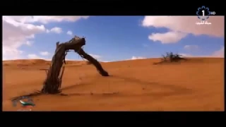 مهلي الحشاش   من دون خلي سهل وحيود دندنها