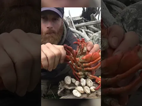 This primitive cooking skill!
