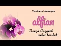 Download Lagu Alfian - Bunga Anggrek Mulai Tumbuh (Lyric)