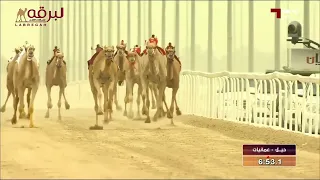 ش  رسمية ل  سيف محمد زايد الخيارين  سباق سمو الأمير            الشلفة الفضية للحيل عمانيات         دندنها