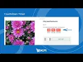 Ecommerce Website Countdown Timer Cart Reservation Timer and Low Stock Warnings