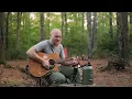 September Doves - Lost Dog Street Band (Cover)