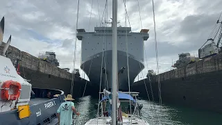 Sailing Zingaro está en vivo