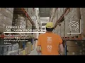 Download Lagu Evle Global - Production \u0026 Packaging