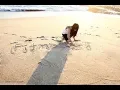 Download Lagu Fit Mom TV with Kiana Tom | Firmer thighs \u0026 tighter butt
