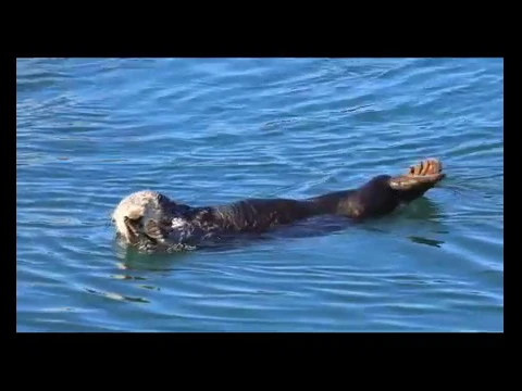 ❄ გსურთ თქვენც ისიამოვნოთ სიგრილით?