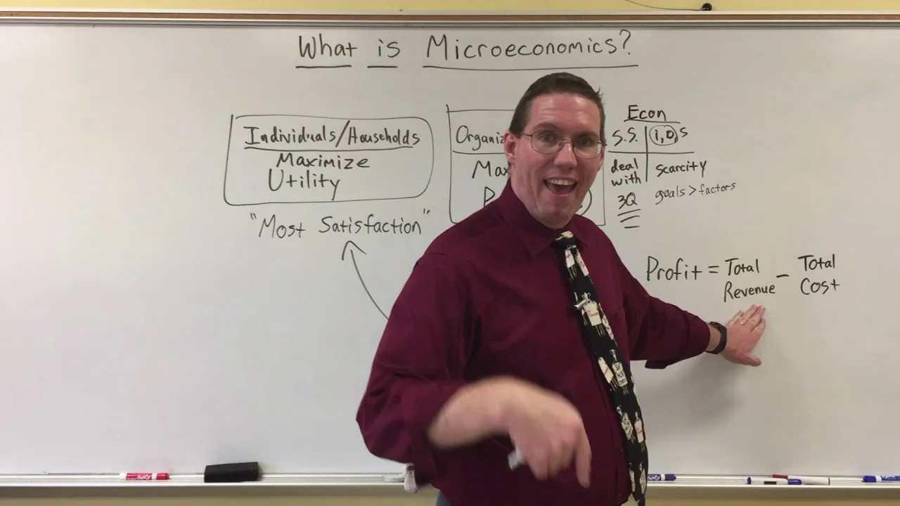What is Microeconomics? - Professor Ryan