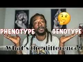 GENOTYPE vs PHENOTYPE in dogs
