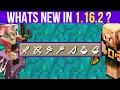 Whats New In Minecraft 1 16 2 Java Edition