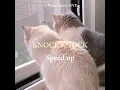 Lagu KNOCK KNOCK : NANON x Jorin 4EVE | [ speed up ]