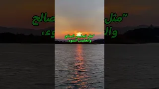 اهمية الرفيق نصائح دينية اكسبلور لايك الصديق الرفيق Friends Friendship أحاديث الرسول 