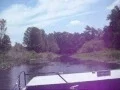 Wild Bills Airboat Tour