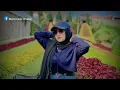Download Lagu Cinta Sampai Mati - Mira Putri (lirik vidio)