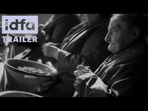 IDFA 2024 | Trailer | Neshoma