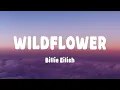 Download Lagu Billie Eilish - WILDFLOWER (Lyrics)