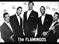 Download Lagu Flamingos -- Love Walked In (G\u0026I Gershwin)