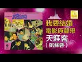 姚苏蓉 Yao Su Rong - 天涯客 Tian Ya Ke (Official Audio)