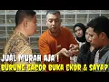 Download Lagu DI JUAL MURAH BURUNG GACOR BUKA SAYAP BUKA EKOR, KIOS BURUNG2 RAWATAN