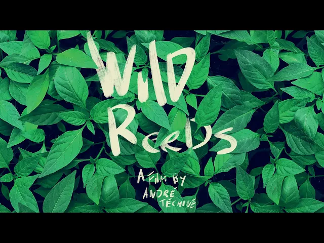 Wild Reeds (Les roseaux sauvages) - U.S. Restoration Trailer (HD)