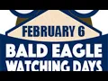 We Snow Birds Bald Eagle Behavior and Habitat
