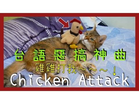 Download MP3 Chicken attack台語版：雞雞打我！雞攻擊之術cover by Smalling｜我就是在攻擊你們的耳朵啊「破台語＃37」