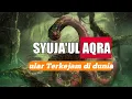 Download Lagu ULAR SYUJA'UL AQRA'-ULAR PENYIKSA DIALAM KUBUR BAGI YG MENINGGALKAN SHALAT | Habib Rifky Alaydrus