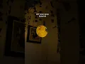 room lamp tut