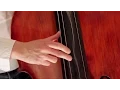 Download Lagu BURNING UPRIGHT BASS SOLO - Nenad Vasilic