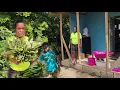 Download Lagu The reason why I farm is to share my products wid family\u0026friends |pappy got cane|sister got Callaloo