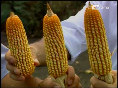 Ecuador Agropecuario 10-04-2018