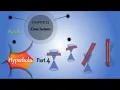 Conic Sections Part 4 Hyperbola