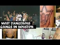 The Most Dangerous Gangs in Houston Texas
