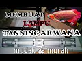 Lagu Tutorial membuat lampu tanning arwana