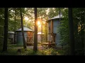 From Farm to Fabulous Grain Bin Houses That Redefine Tiny Living