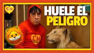 el chapul n colorado is looking for the mysterious thief with the ostentatious ring