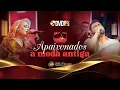 Download Lagu Banda Sul Brass - APAIXONADOS À MODA ANTIGA | DVD 15 ANOS