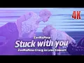 Stuck with you (ZeeNuNew) at ZeeNuNew Crazy In Love Concert