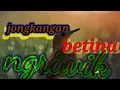 Download Lagu jongkangan betina ngriwik bikin jantan cepat gacor