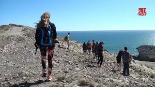 Gestión y Monitoreo Ambiental en Proyectos Mineros