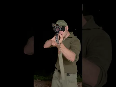 Wild Boar Hunting with Night Vision