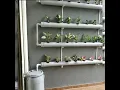 Download Lagu Hydroponics Setup At Home 48 Plants