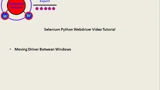 Selenium Python Webdriver Tutorial - Navigating Between Windows