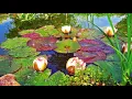 Relax Musique pour enfants - Méditation - Temps calme | Paix intérieure - Dormir profondément